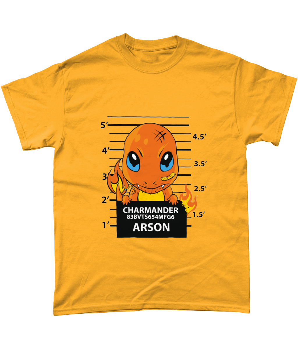 Banged UP! Charmander